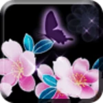 Logo of Sakura Night android Application 